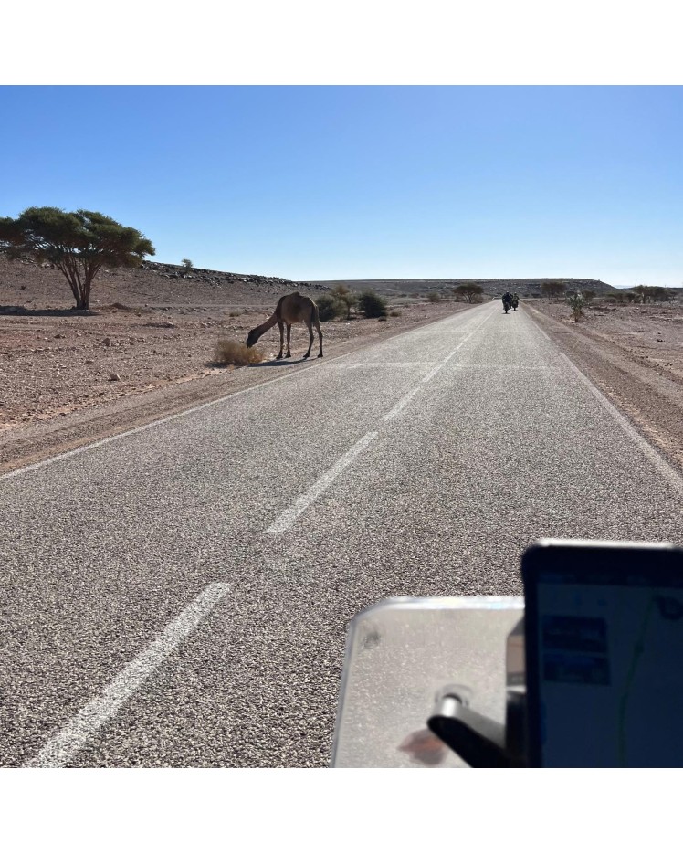 TOUR MARRUECOS BICILINDRICAS
