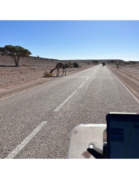 TOUR MARRUECOS BICILINDRICAS