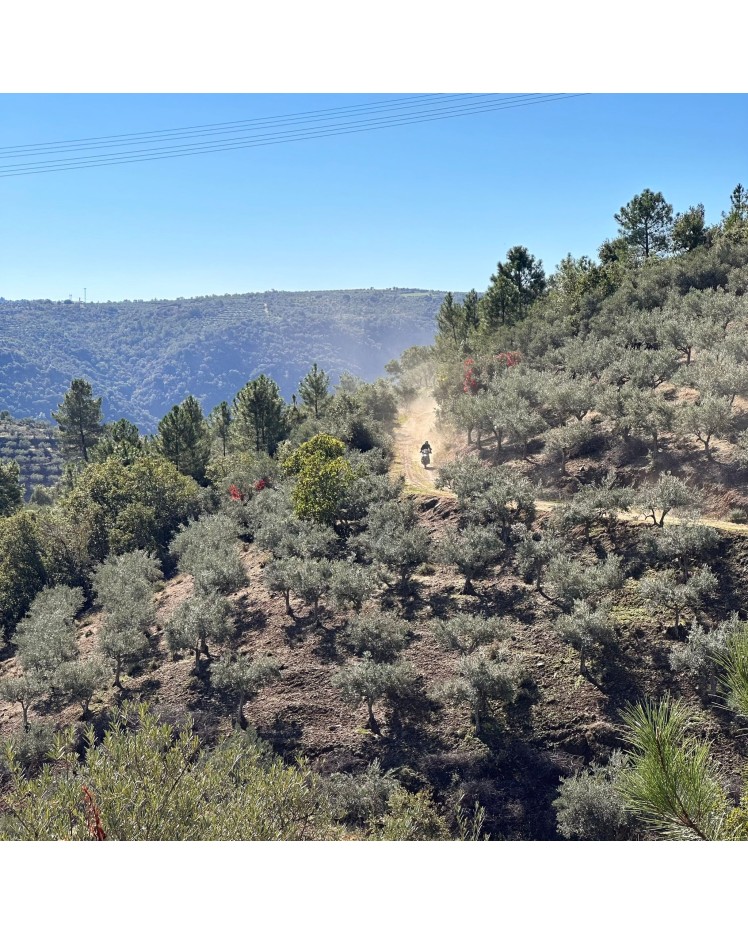 TOUR PORTUGAL